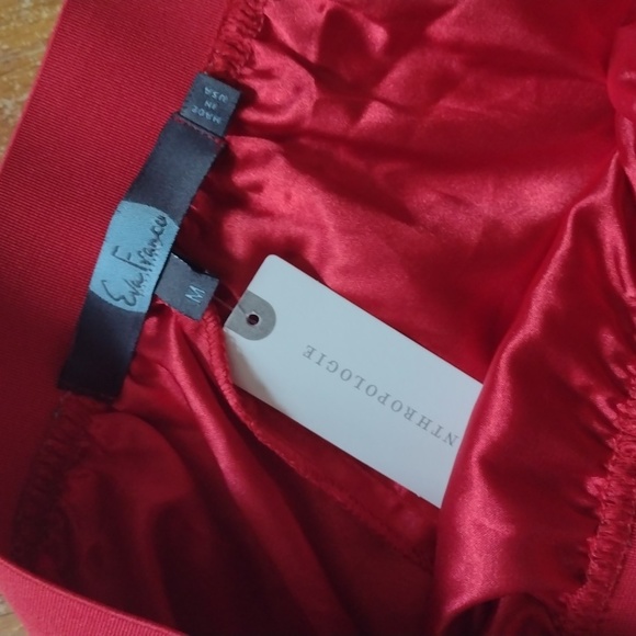 Anthropologie Eva Franco size medium NWT strawberry chiffon skirt - Picture 4 of 6